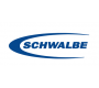 Schwalbe